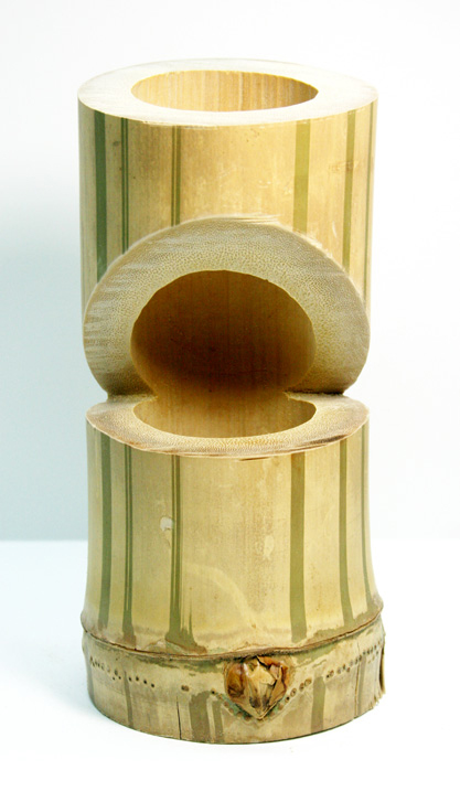 bamboo_025