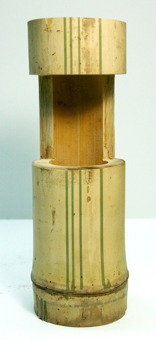 bamboo_026